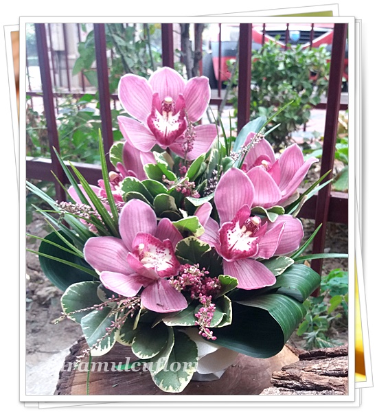 Aranjamente florale cu orhidee.4046